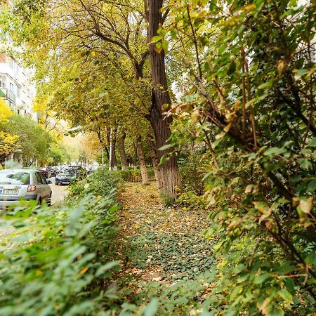 Woody - Cozy And Quiet Place Near Moghioros Park بوخارست المظهر الخارجي الصورة