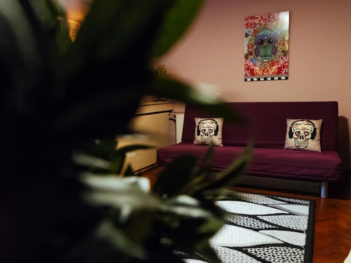 Woody - Cozy And Quiet Place Near Moghioros Park بوخارست المظهر الخارجي الصورة