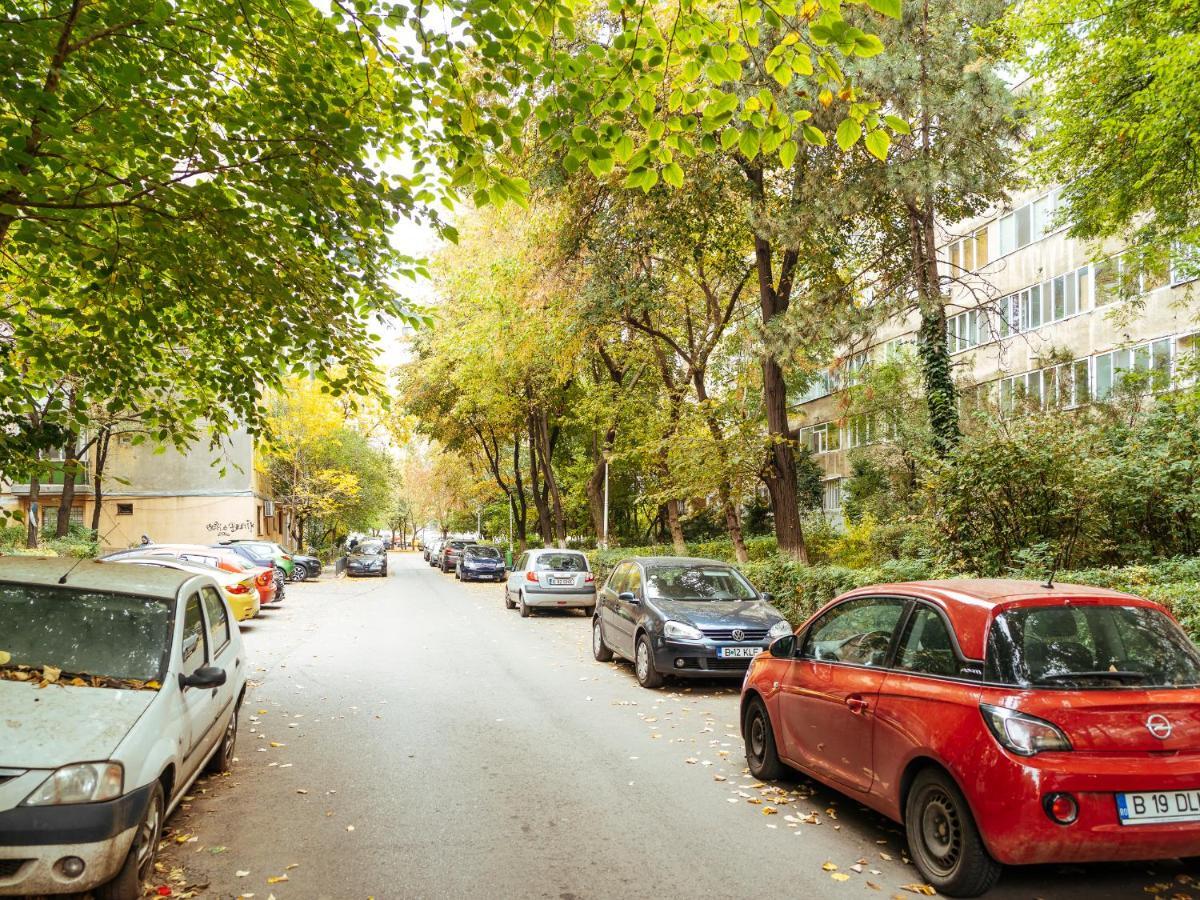 Woody - Cozy And Quiet Place Near Moghioros Park بوخارست المظهر الخارجي الصورة