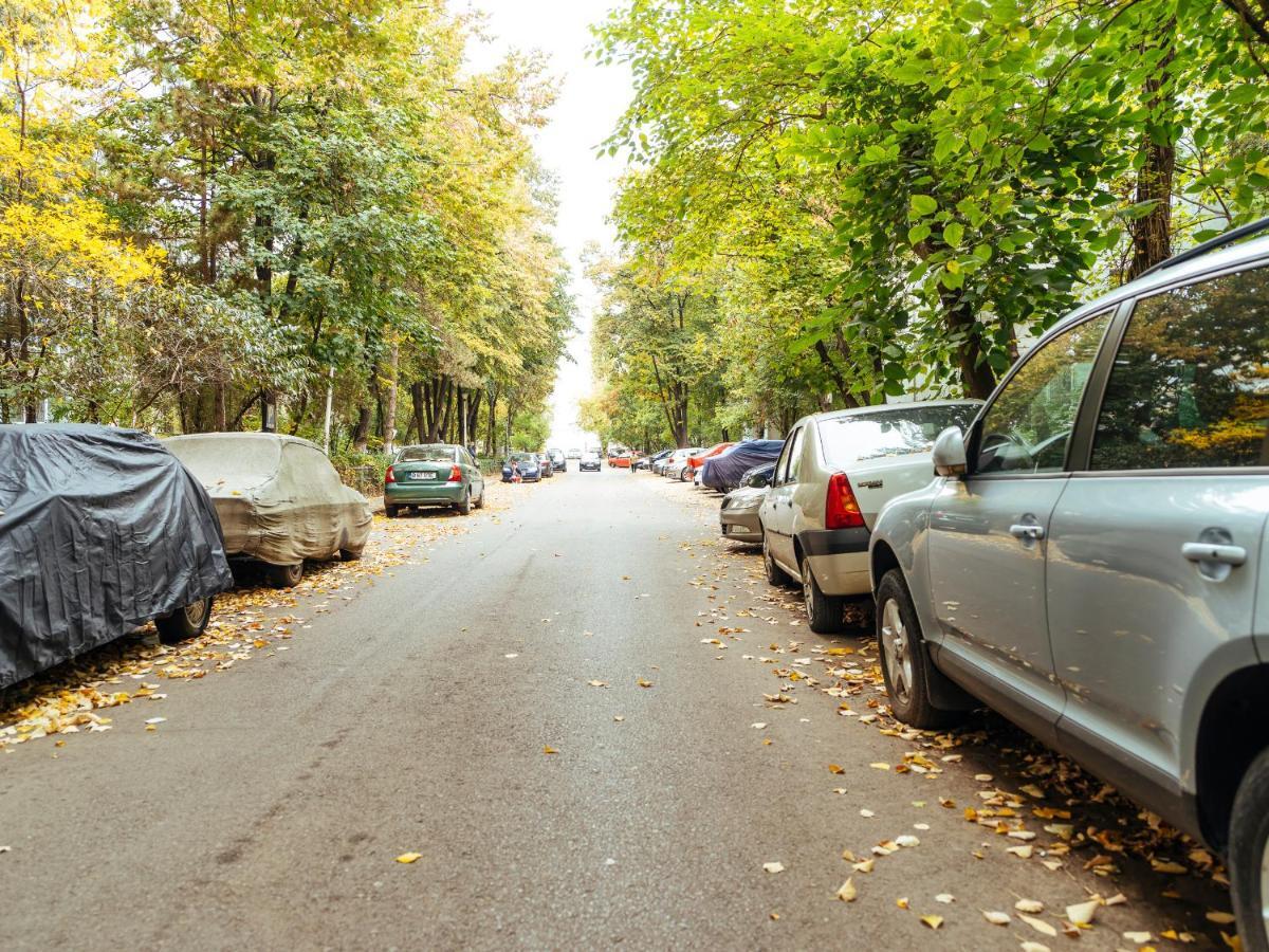 Woody - Cozy And Quiet Place Near Moghioros Park بوخارست المظهر الخارجي الصورة
