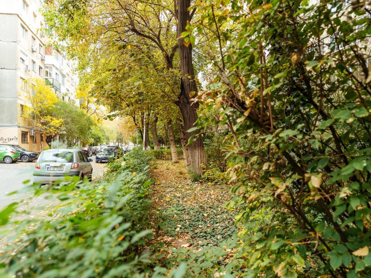Woody - Cozy And Quiet Place Near Moghioros Park بوخارست المظهر الخارجي الصورة